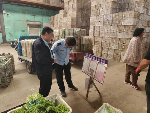 強化源頭管控，守護百姓餐桌——萊陽市開展農產品批發市場專項監督檢查